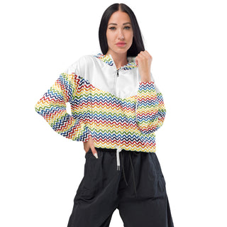 Windbreaker Water Resistant Breathable Hood and Pocket Cropped Rainbow Stripe Jacket Windbreaker